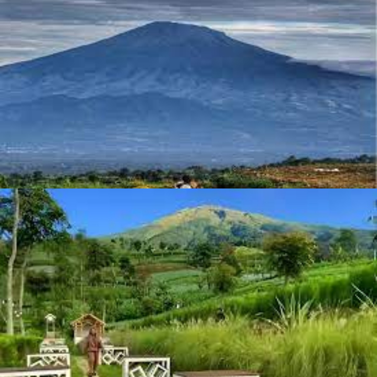 Habiskan Masa Liburmu di Wisata Alam Gunung Gupak Magelang yang Miliki Keindahan Menakjubkan 