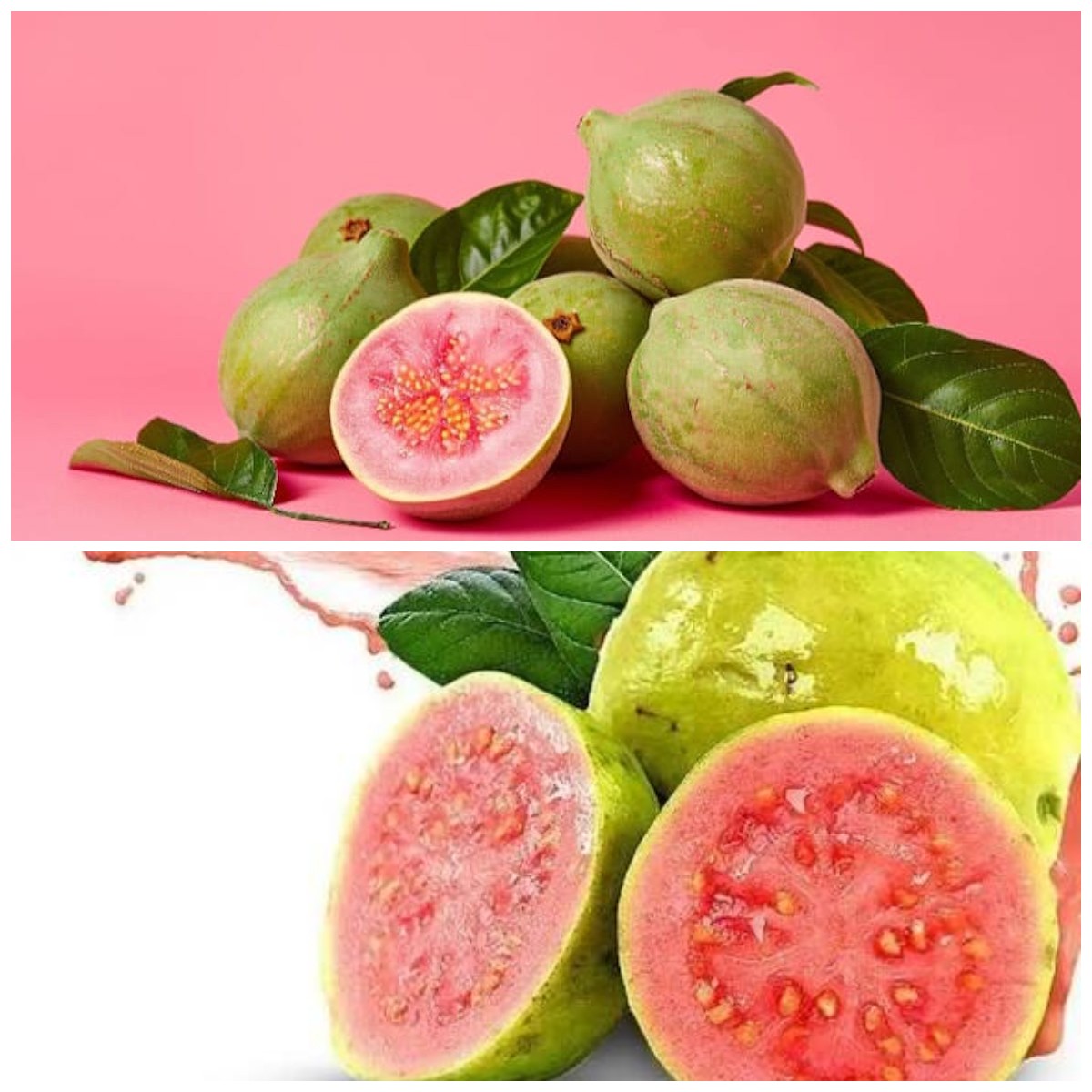 Sering Dilewatkan karena Langka, Jambu Biji Ungu Ternyata Simpan Nutrisi Menakjubkan Ini!