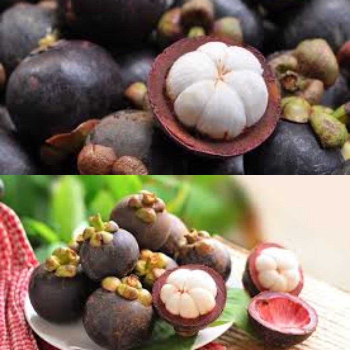 Ketahui 5 Manfaat Buah Manggis untuk Kesehatan!  