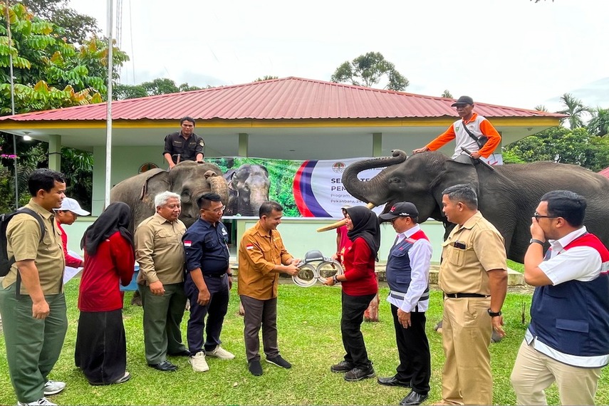 Peduli Lingkungan, HK Pasang GPS Collar Untuk Memantau Pergerakan Gajah