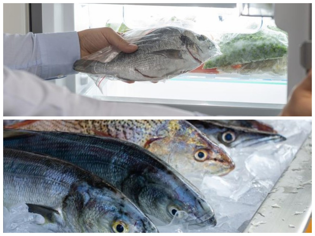 Listrik Mati? Ini Cara Menyimpan Ikan Agar Tetap Segar Tanpa Freezer