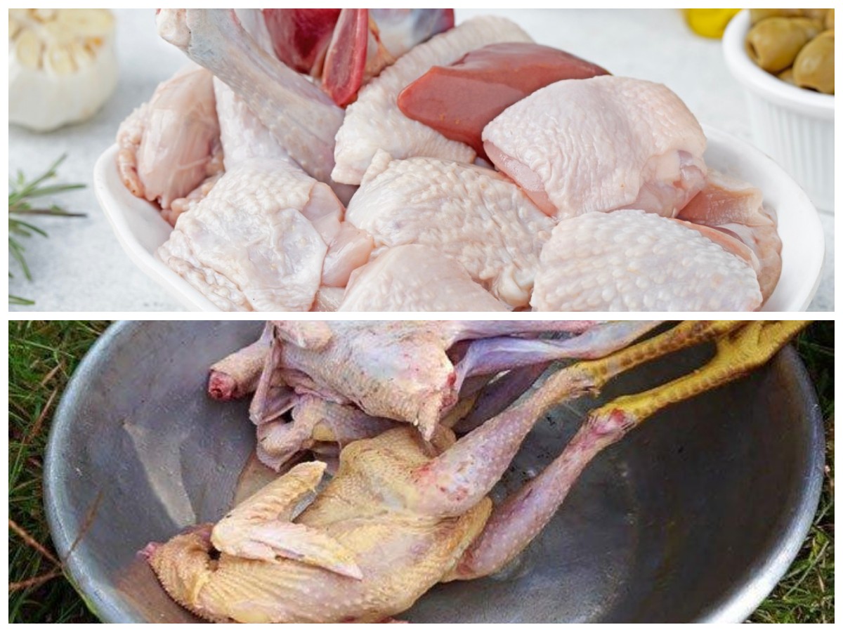 Daging Ayam Kampung: Kaya Protein dan Bermanfaat untuk Kesehatan Tubuh