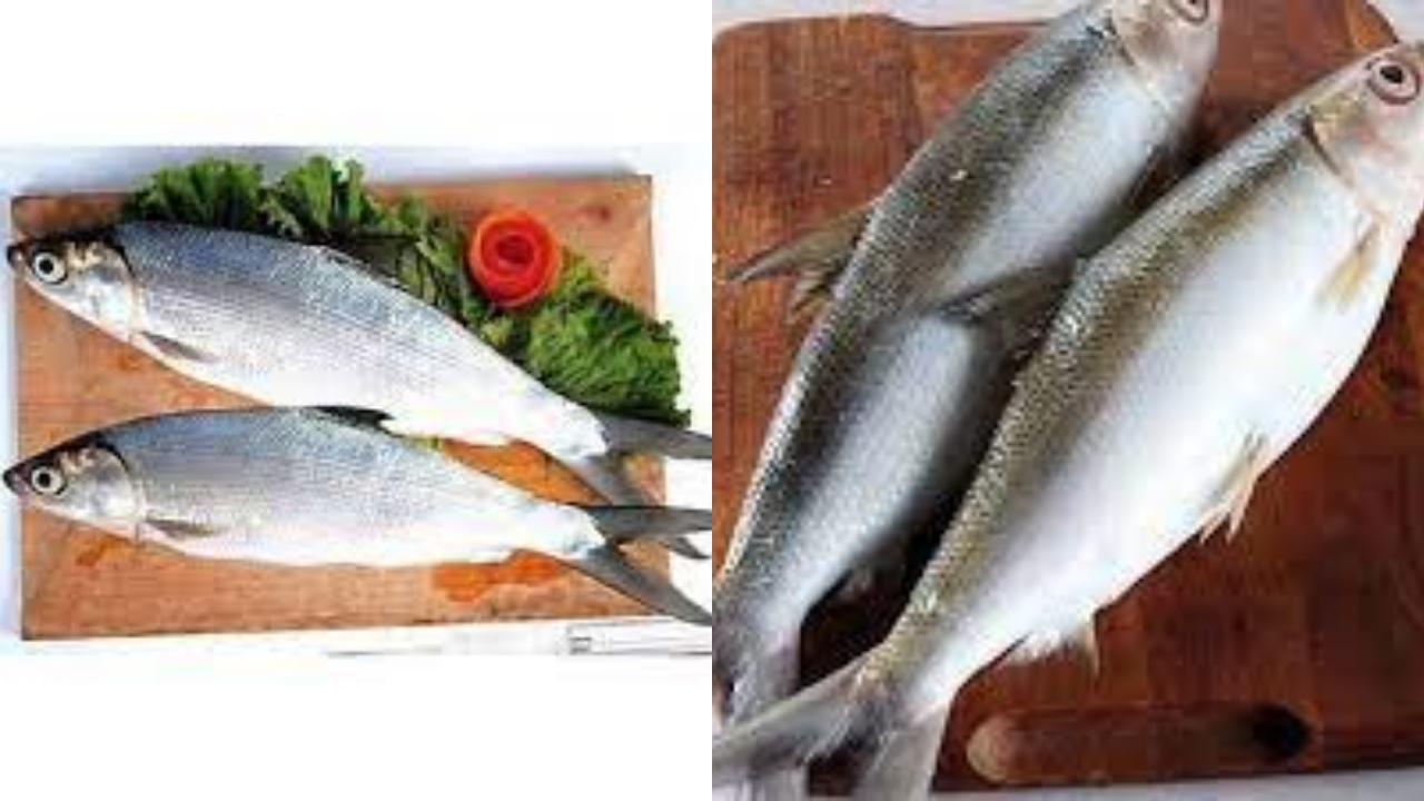 Inilah 6 Manfaat Ikan Bandeng Untuk Kesehatan Tubuh Yang Jarang Diketahui!