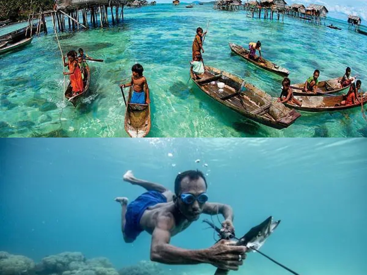 Fakta Suku Bajau: Mampu Menyelam di Laut Sampai Kedalaman 70 Meter dan Bertahan Selama 13 Menit!