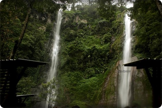  Keajaiban Gaib Kota Bondowoso, Menjelajahi Tempat-tempat Angker yang Dipenuhi Makna Spiritual!