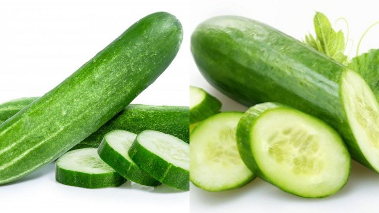 Darah Tinggi, Timun Solusinya Ini Manfaat dan Tips Mengolahnya!