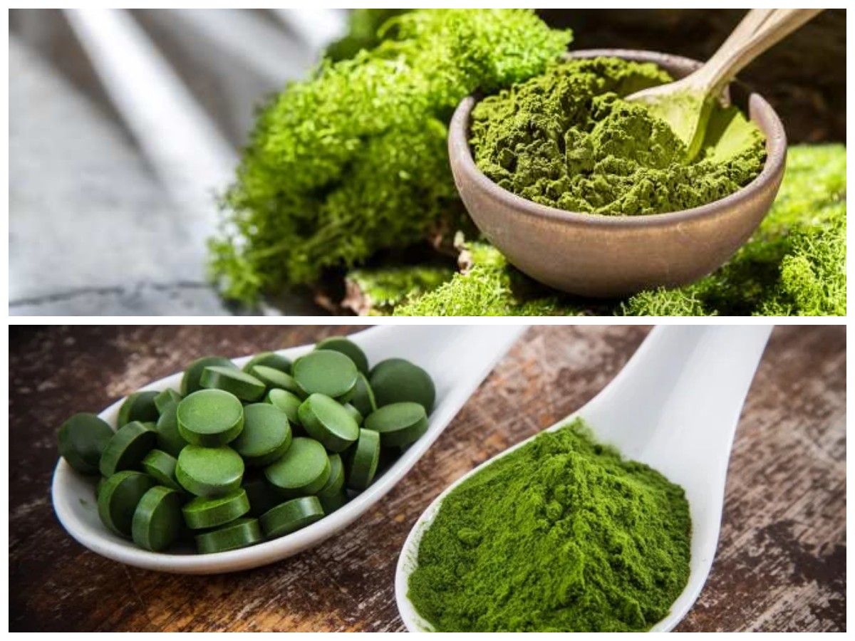Chlorella: Ganggang Hijau Superfood dengan 8 Manfaat Luar Biasa bagi Kesehatan Tubuh!