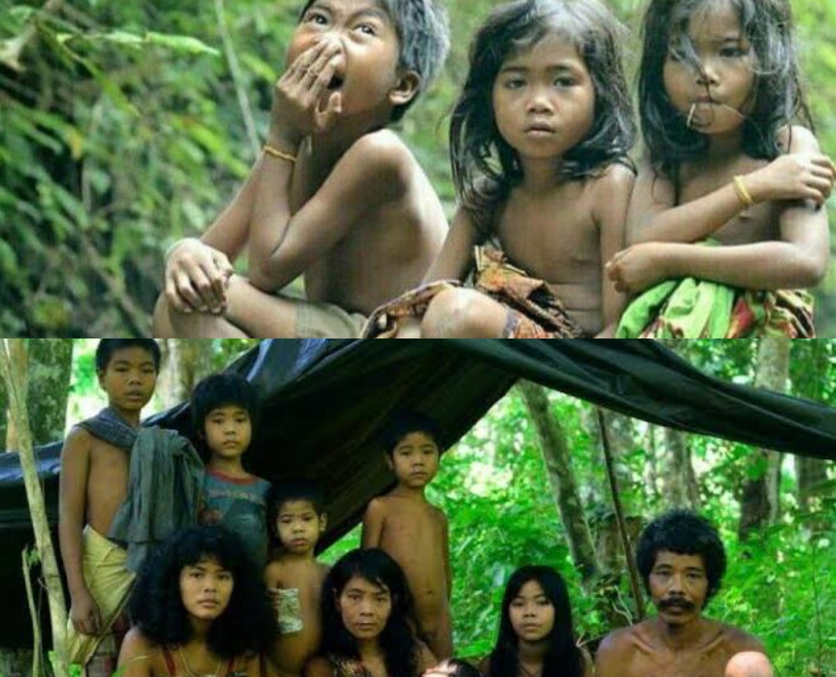Menelusuri Jejak Sejarah Suku Anak Dalam yang Hidup Hidup Primitif di Pedalaman Sumatera Hingga Saat ini 