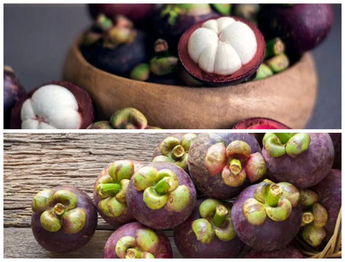 Ketahui 5 Manfaat Buah Manggis untuk Kesehatan: Si Ratu Buah yang Kaya Antioksidan!