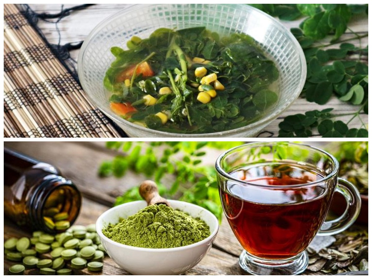 Rahasia Sehat Alami: Khasiat Teh Daun Kelor yang Bikin Tubuh Tetap Fit dan Kuat!