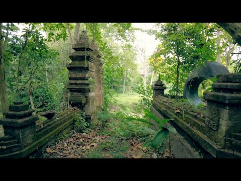 Tanpa Disengaja, Pencari Rumput Temukan Istana Kuno di Tengah Hutan Milik Raja Airlangga 