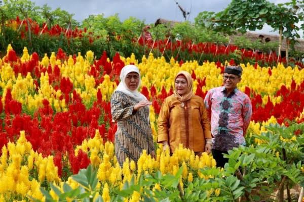 Keren Banget, Ini Pesona Agrowisata Taman Suruh di Banyuwangi, Simak Ini Penjelasanya