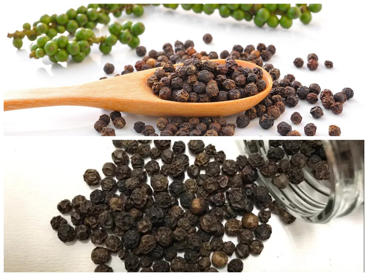 Rahasia Sehat dari Lada Hitam, Rempah Kecil dengan Khasiat Luar Biasa