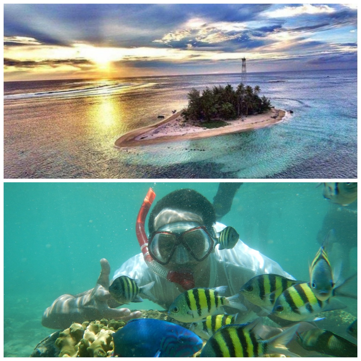 Serunya Snorkeling di Pulau Tikus, Menjelajahi Keindahan Bawah Laut Bengkulu