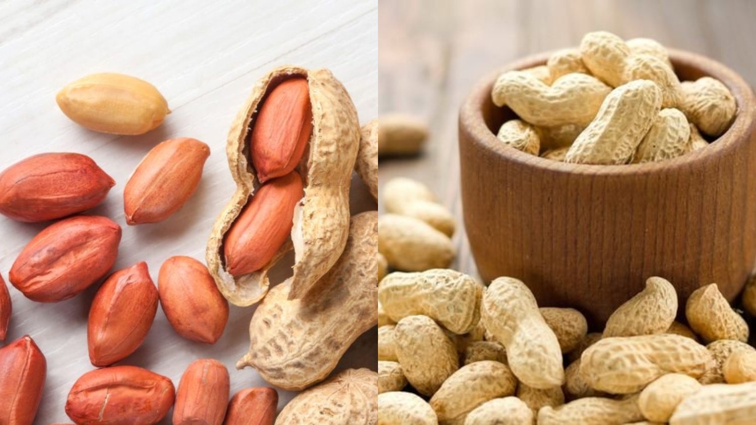 Wajib Tahu Teryata Manfaat Kacang Tanah Bisa Menurunkan Risiko Kanker Loh Guys! 