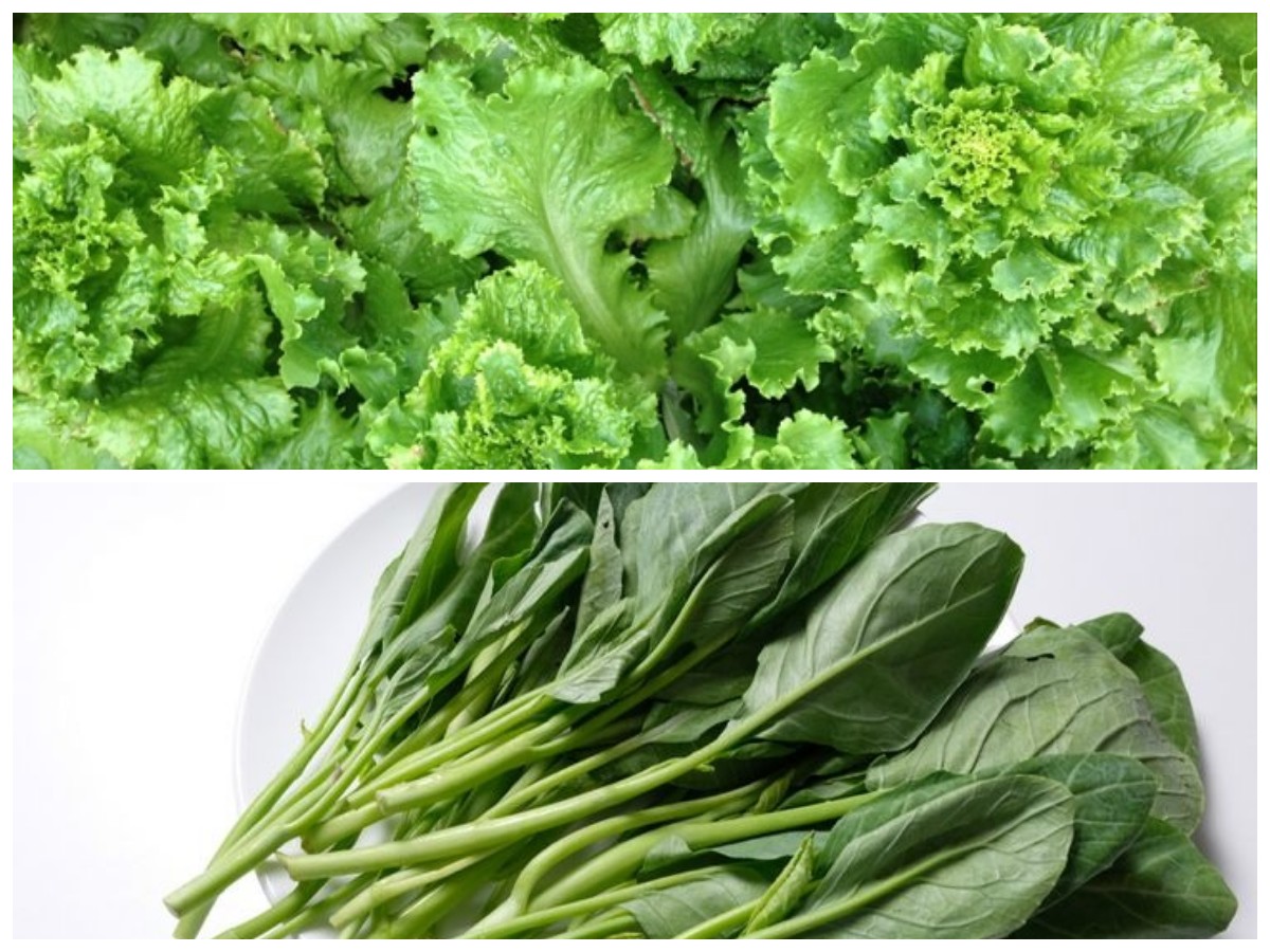 Inilah 9 Manfaat Sayuran Hijau untuk Kesehatan!