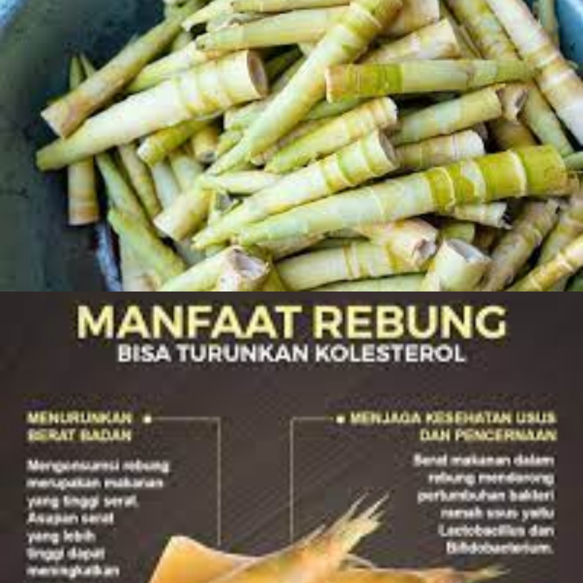 Mampu Turunkan Kolestrol Jahat! Ini Peran Penting Lainnya dari Rebung untuk Kesehatan 