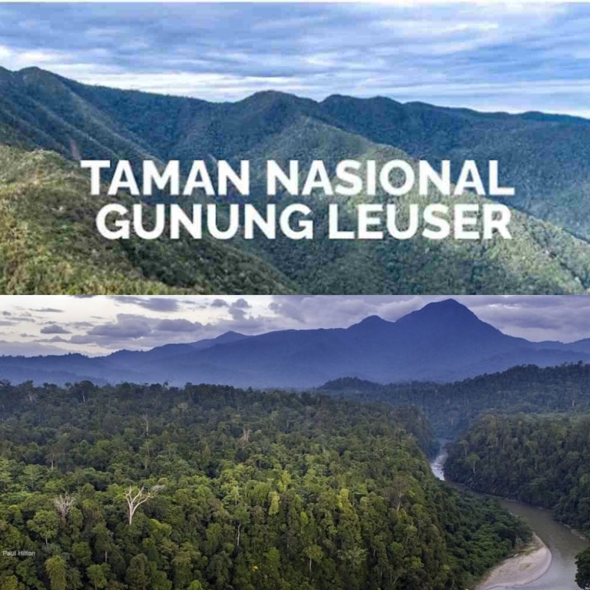 Misteri dan Keindahan Gunung Leuser: Apa yang Tersembunyi di Balik Legenda?