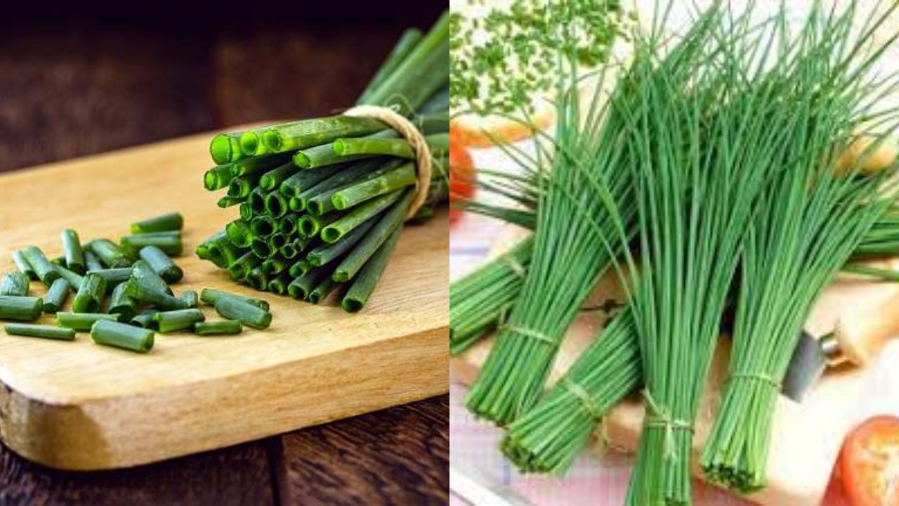 Yuk Intip! Inilah Manfaat Lakio Untuk Kesehatan Dan Cara Mengonsumsinya