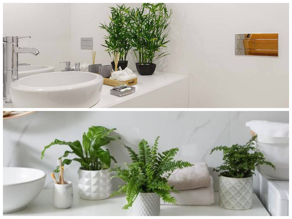 Minim Cahaya Tetap Segar, Ini 5 Tanaman Penyaring Udara yang Cocok untuk Kamar Mandi