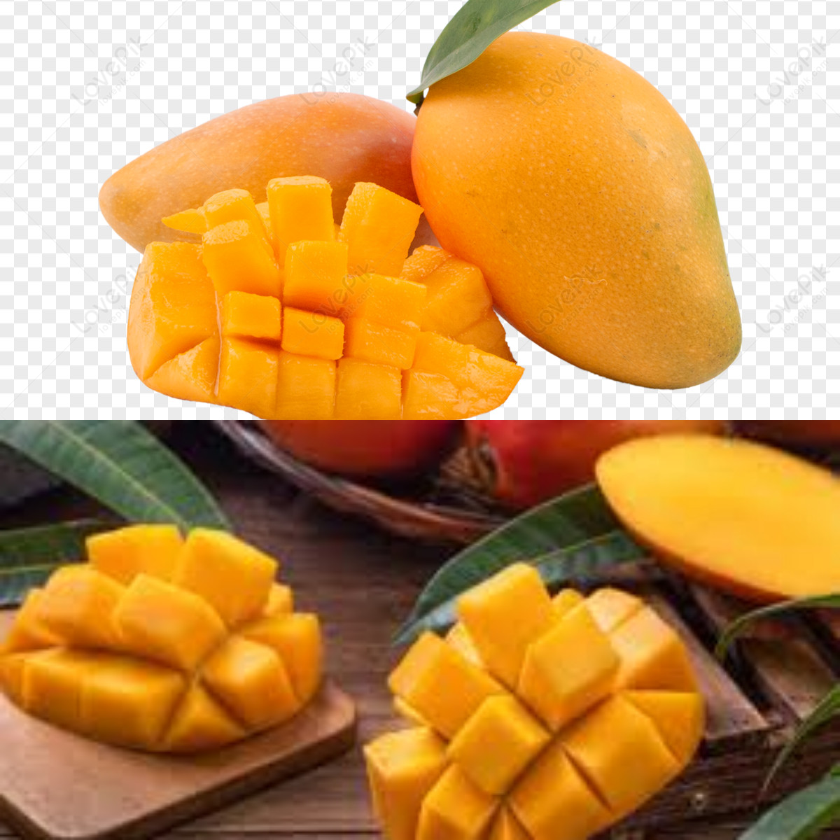  Yuk Ketahui Kebaikan Buah Mangga bagi Kesehatan dan Ibu Hamil!