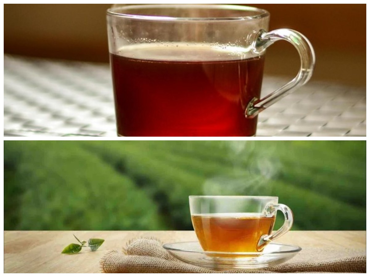Teh Tawar: Minuman Ringan dengan Segudang Manfaat Kesehatan untuk Tubuh