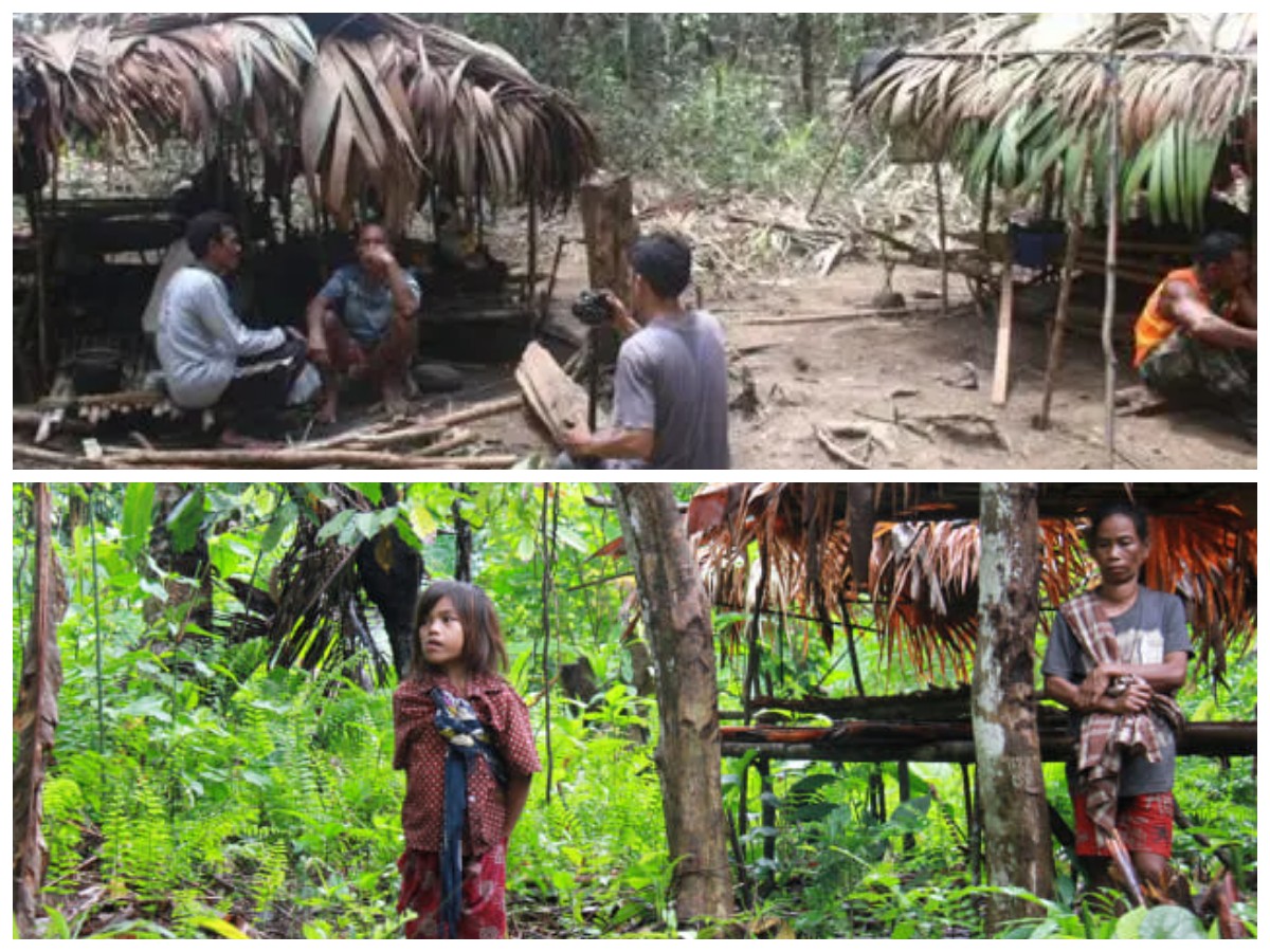 Tugotil: Masyarakat Adat Penjaga Hutan Halmahera di Maluku