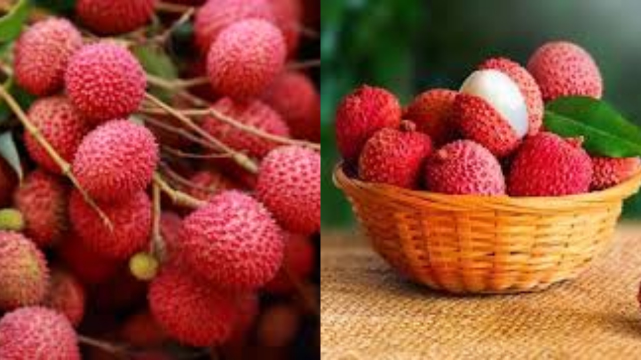 Manfaat Buah Leci: Si Manis Tropis Yang Kaya Antioksidan Yang Luar Biasa