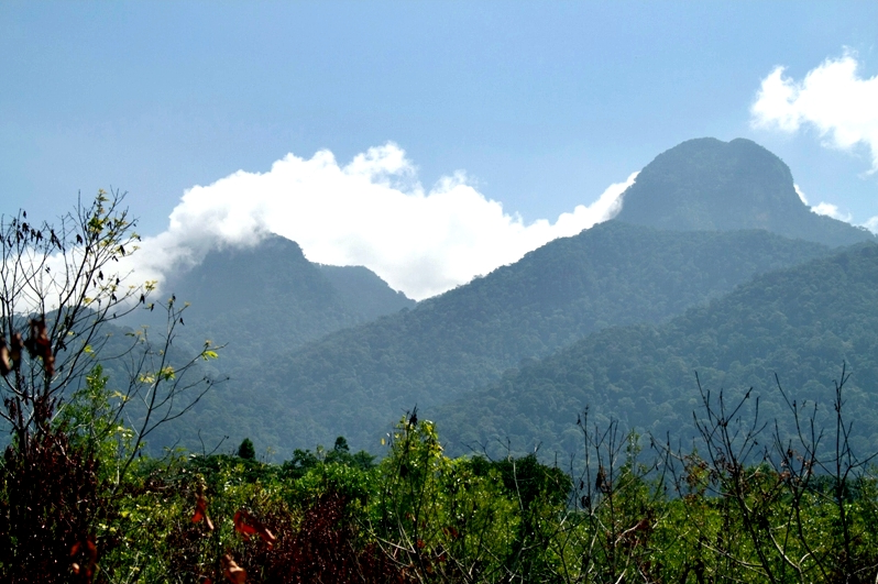 Mengungkap Asal Usul dan Misteri Gunung Batubrok di Kalimantan