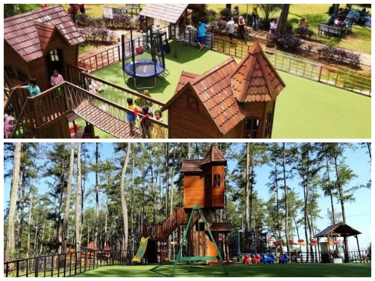 Menjelajah Kemit Forest Cilacap: Wisata Alam Seru untuk Liburan Keluarga