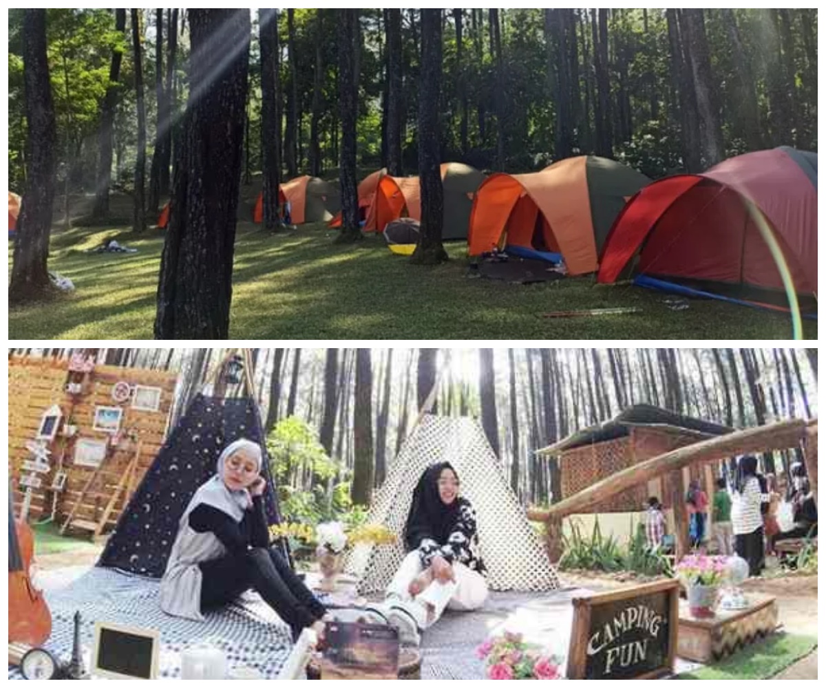 Cuma 1 Jam dari Jakarta, Camping Seru di Taman Wisata Alam Gunung Pancar Cocok Untuk Keluarga!