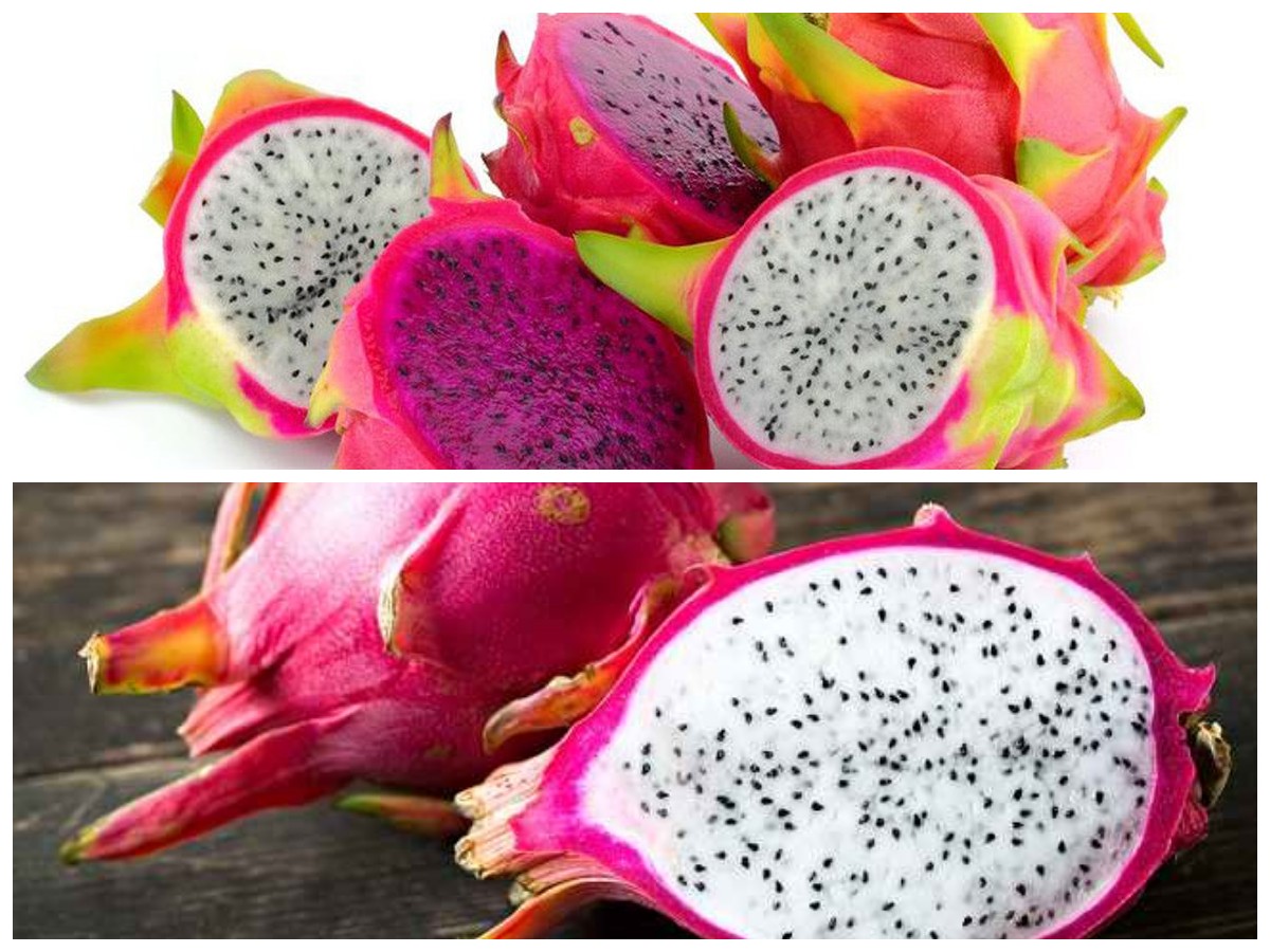  Kulit Cerah dan Sehat! Ini Manfaat Buah Naga Putih untuk Mencegah Penuaan Dini