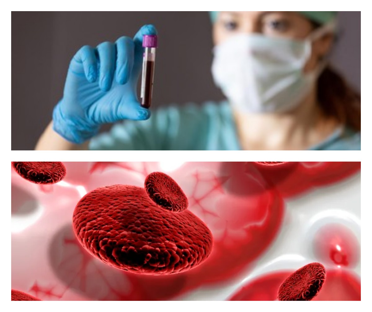 Golden Blood: Golongan Darah Langka yang Hanya Dimiliki 50 Orang di Dunia!