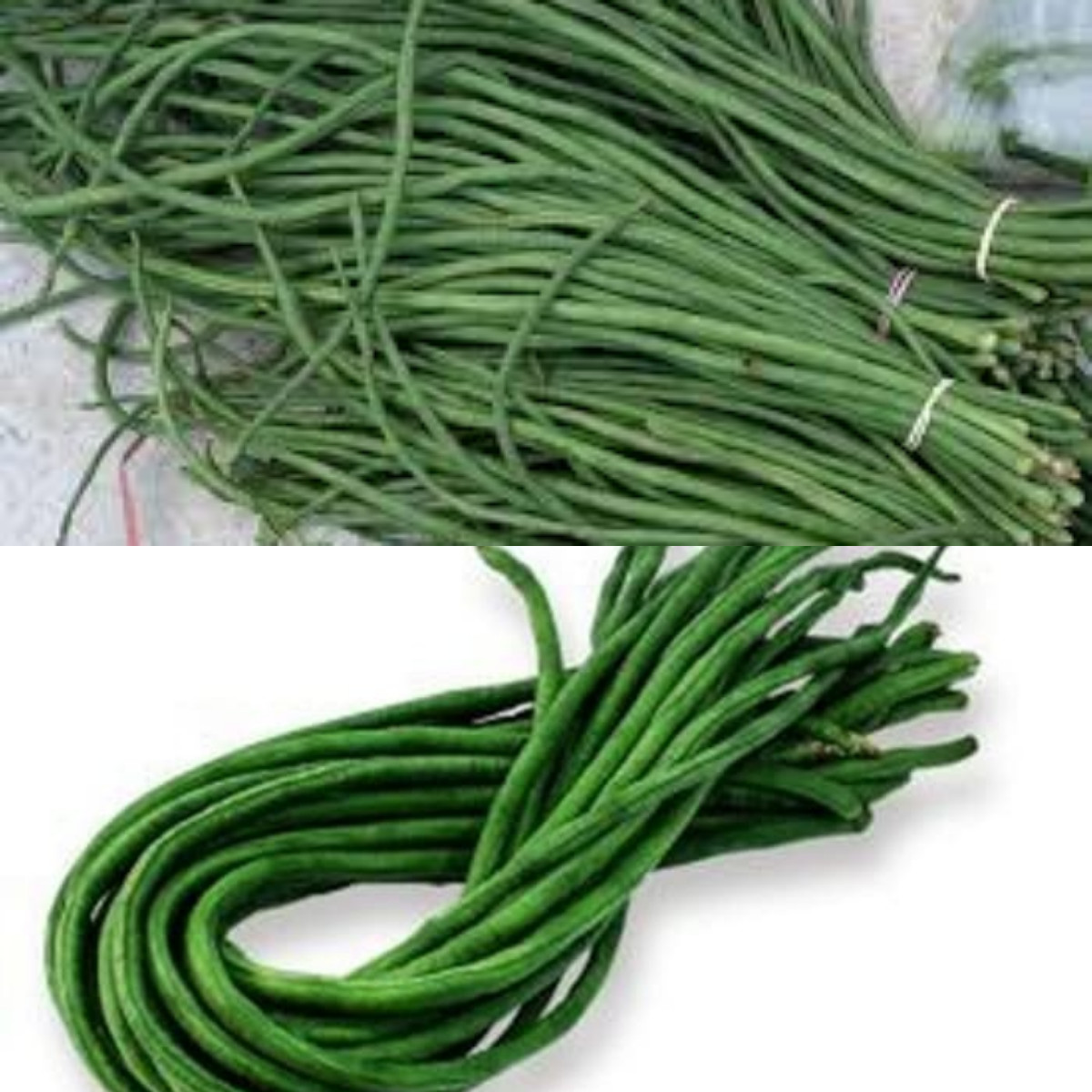 Menggali Manfaat Kacang Panjang untuk Kesehatan!