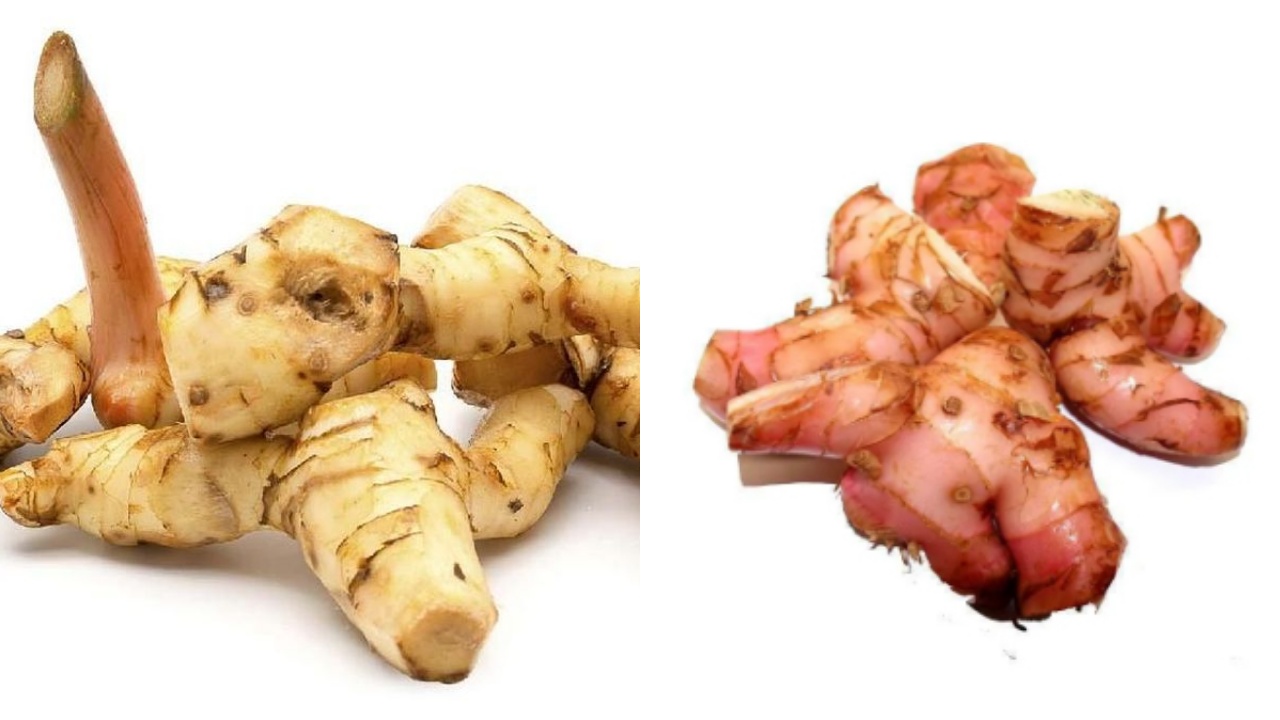 Lengkuas: Rempah Dapur Yang Punya Segudang Manfaat Kesehatan