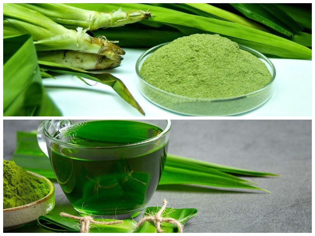 Rahasia Sehat dari Alam: 7 Manfaat Daun Pandan untuk Tubuh