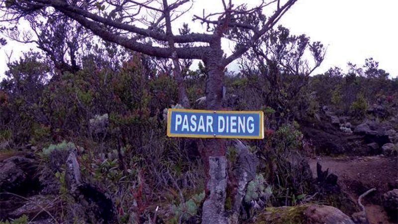 Buat Para Pendaki, Ternyata Terdapat Makam Spiritual di Gunung Lawu!