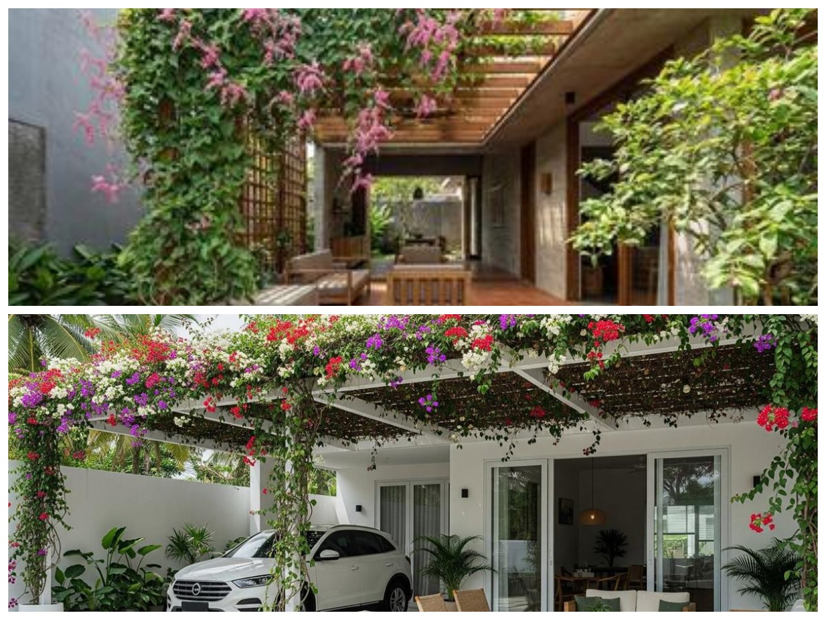 Teras Rumah Makin Sejuk! Tanaman Rambat Berbunga untuk Pergola Mini Bergaya Kafe