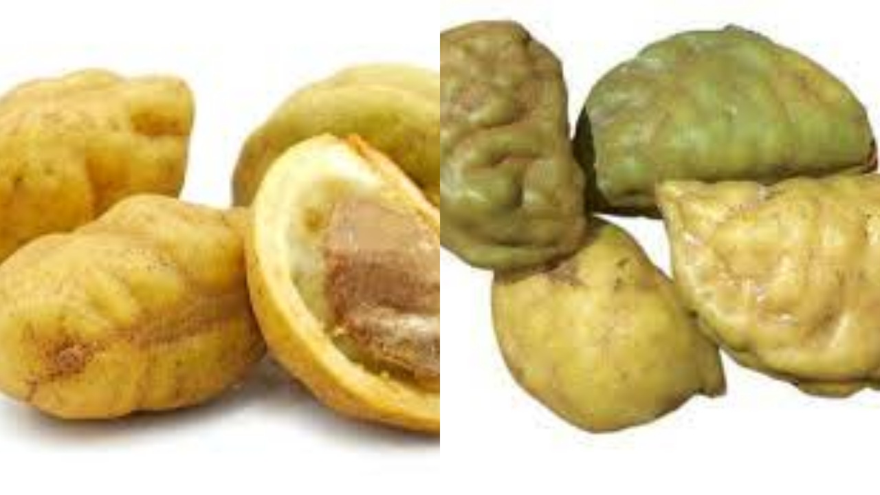 Yuk Mengenal Buah Namnam dan Beragam Manfaatnya Bagi Kesehatan Tubuh!