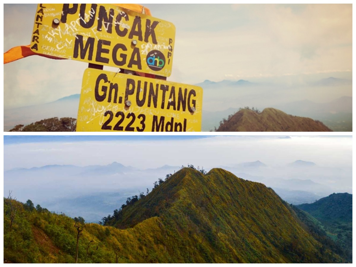 Gunung Mega: Menelusuri Sejarah, Mitos, dan Kekayaan Alam Papua Barat