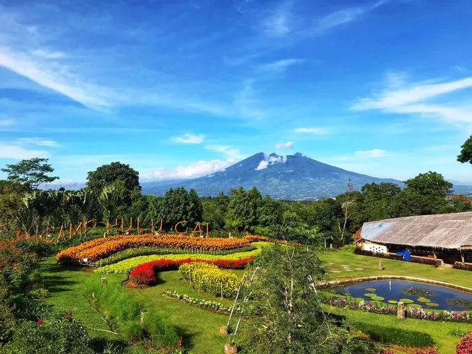 Panduan Seru Berkemah di Camp Hulu Cai, Wisata yang Banyak Spot Foto Instagramable