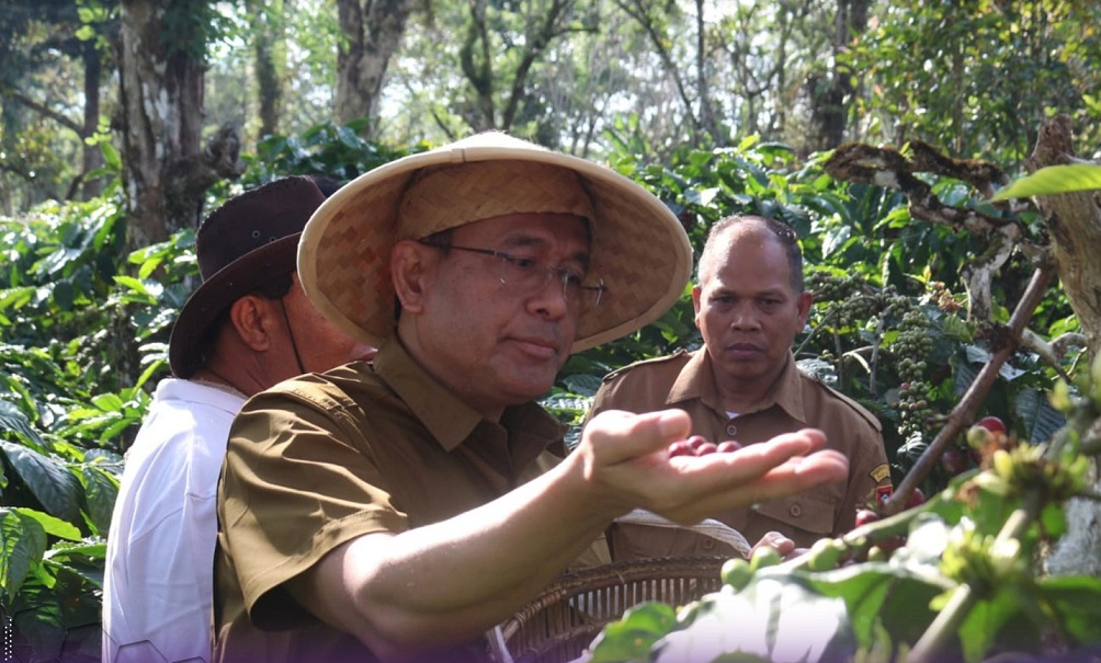 OJK Sinergikan Program Komoditi Kopi di Pagar Alam