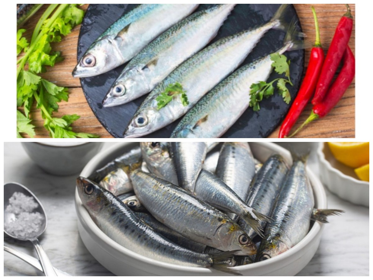 Nikmat dan Bergizi: Ini 8 Manfaat Ikan Sarden yang Wajib Kamu Ketahui