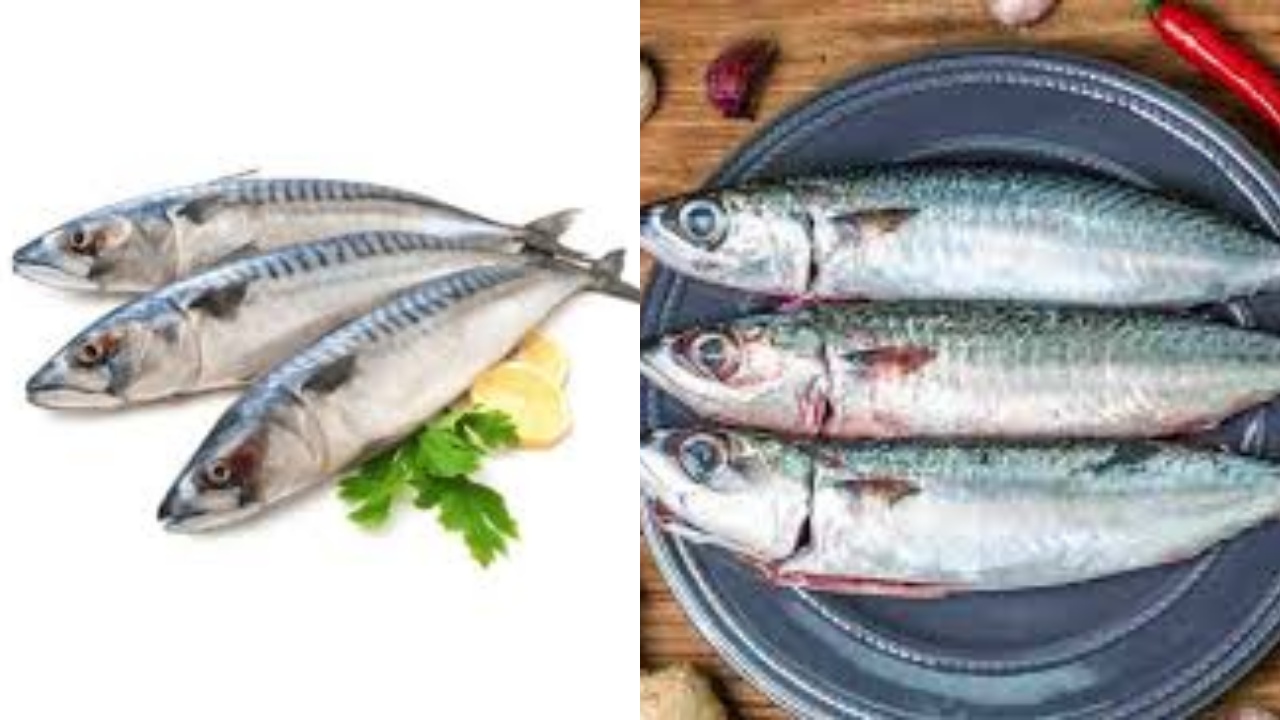 Membantu Menurunkan Risiko Depresi Teryata Ini Guys Manfaat Dari Ikan Tenggiri!