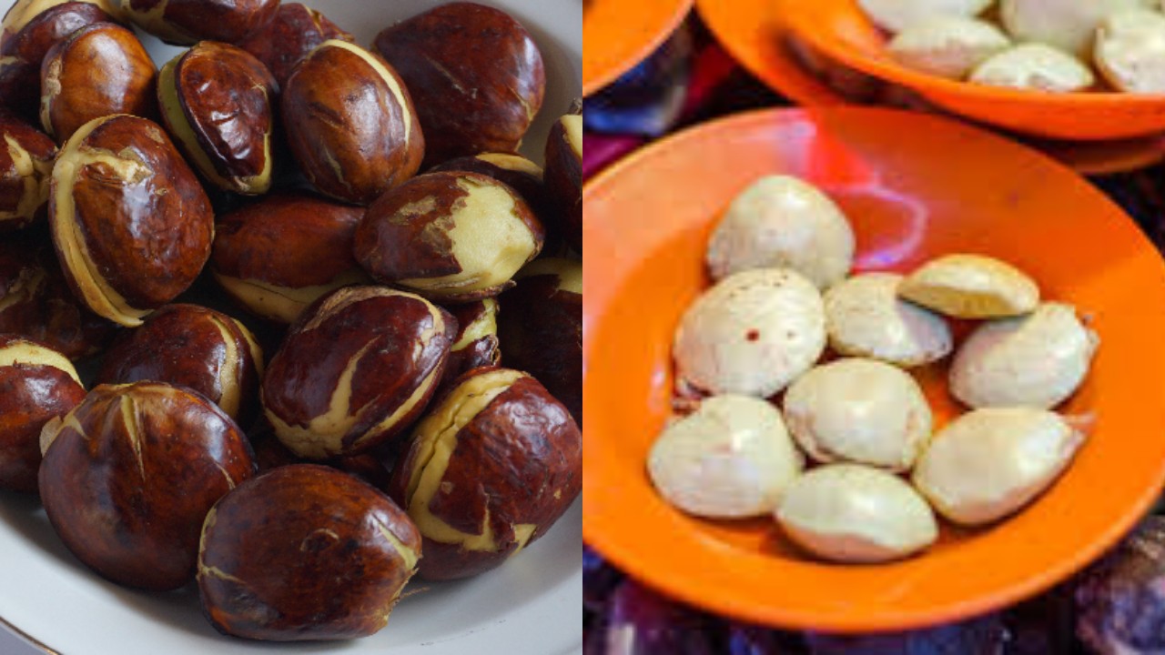 Manfaat Jengkol untuk Kesehatan, Tapi Hati-Hati dengan Efek Sampingnya!