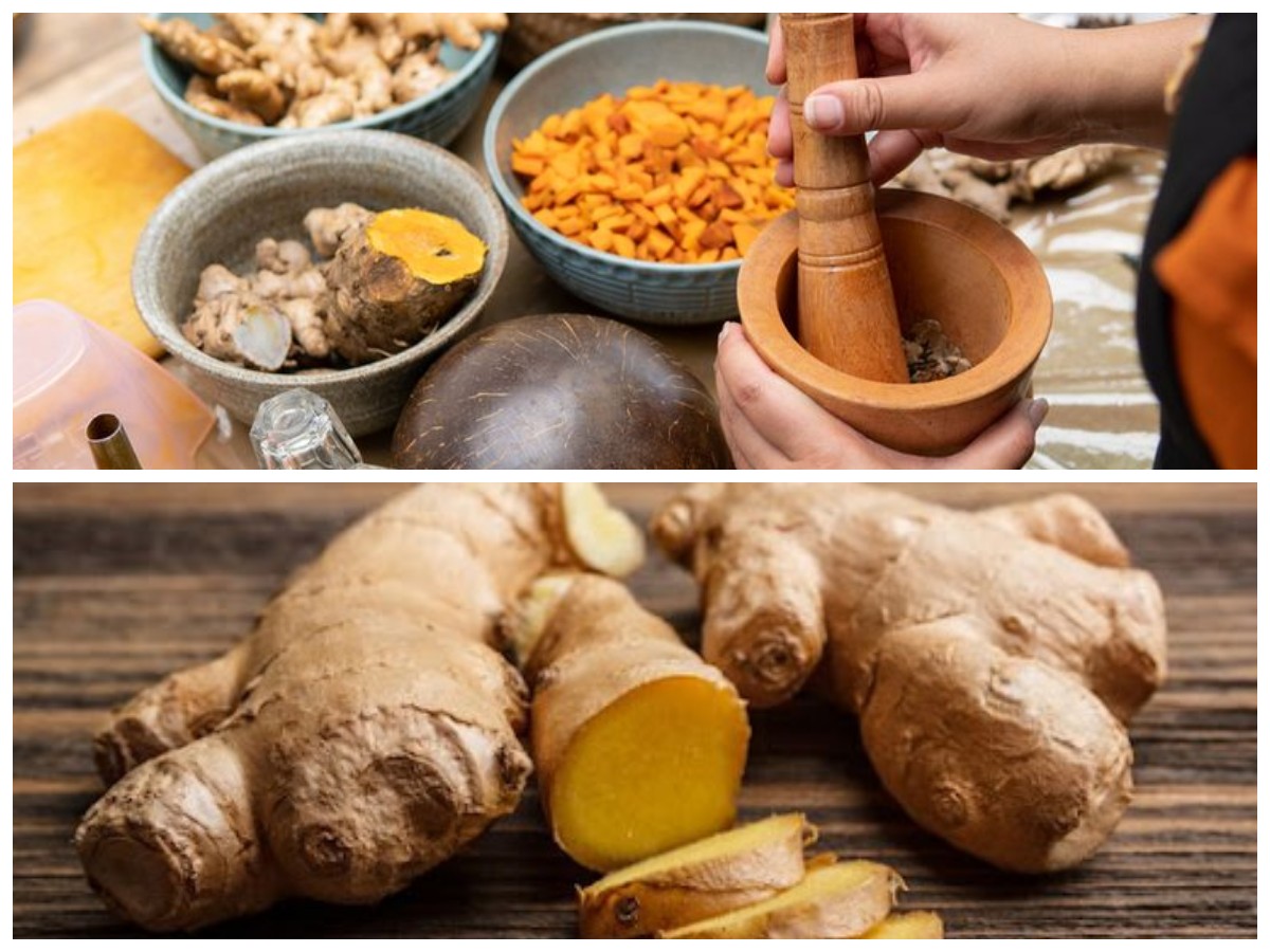 Populer di Kalangan Masyarakat: Khasiat dan Tren Konsumsi Obat Herbal untuk Tingkatkan Imunitas