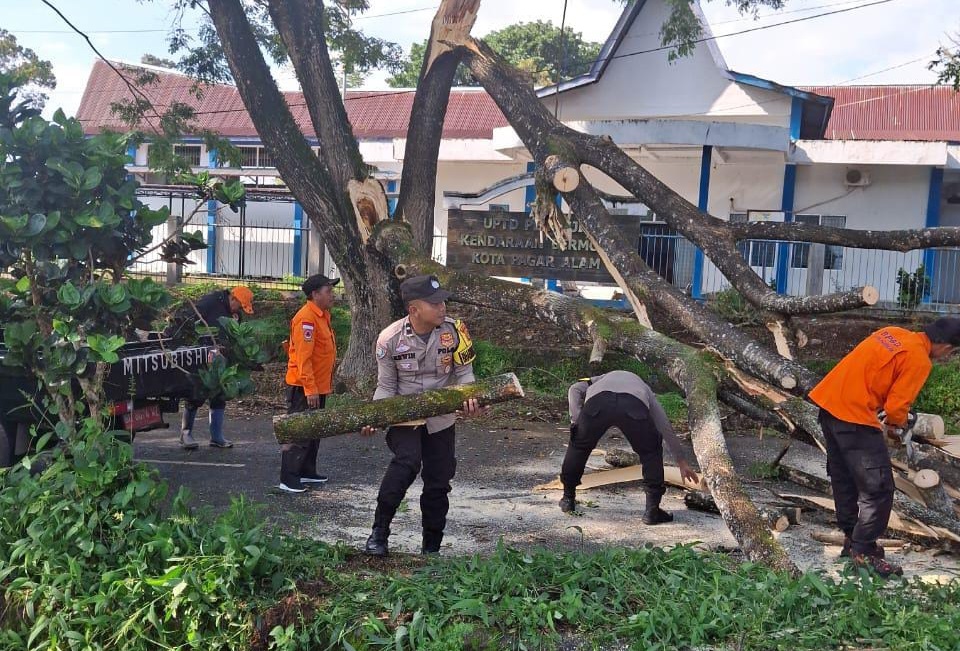 Polres - BPBD Tunjukkan Respon Cepat Laporan Pohon Tumbang