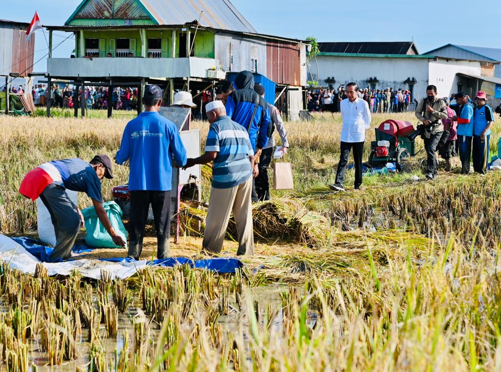 Hari Kedua di Sulsel, Presiden akan Tinjau Panen Padi hingga Smelter