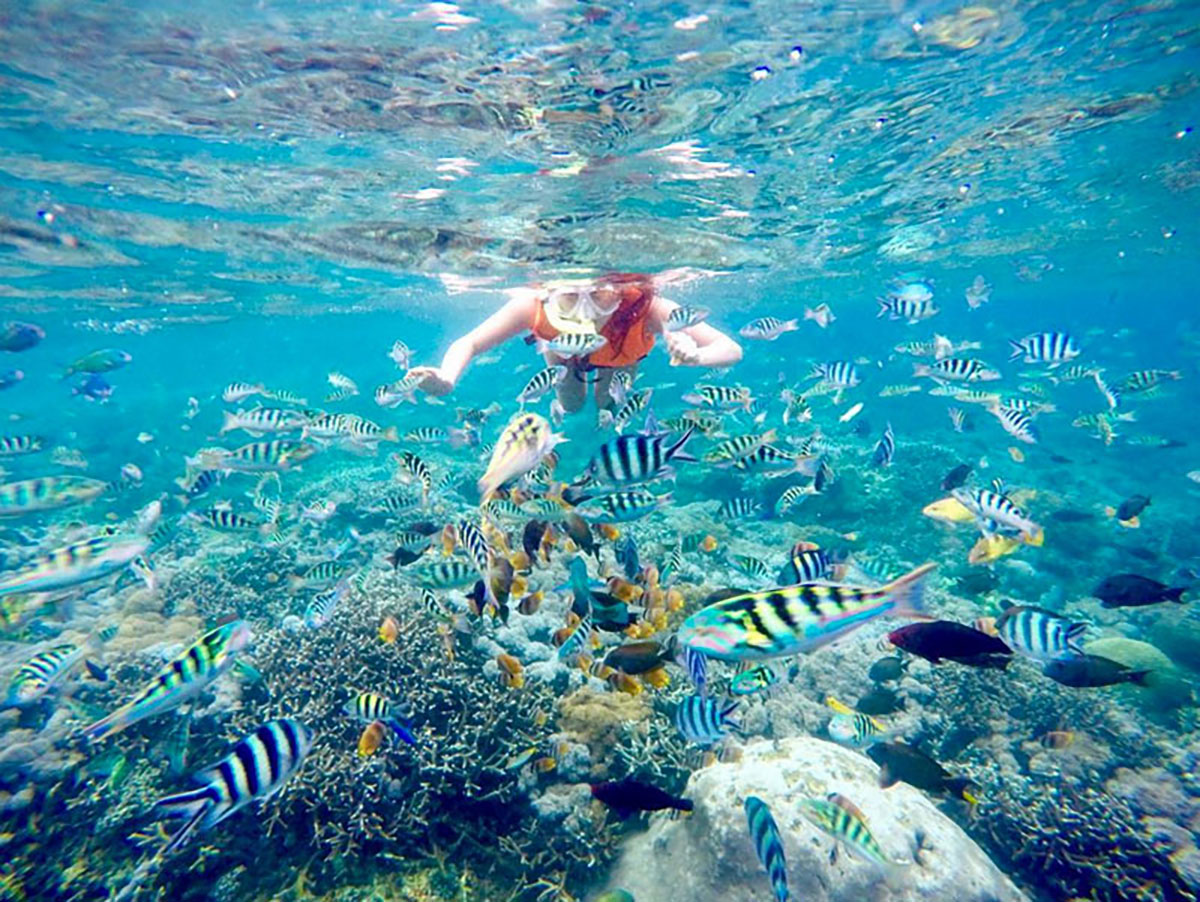 Menyimpan Surga Alam yang Indah! Inilah Pesona Cantik Bawah Laut Pulau Hatta 