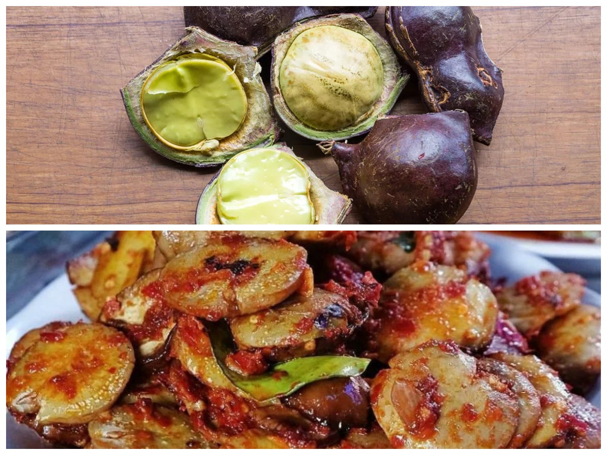 Lezat namun Berbahaya? Ini Manfaat dan Bahaya Jengkol untuk Tubuhmu